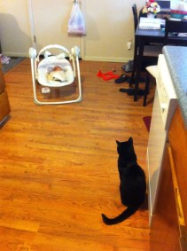 Bear and Charli Bear and Charli